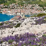 Villamar Διαμέρισμα